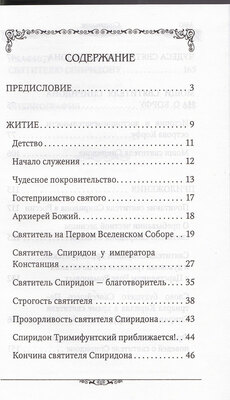 Святитель Спиридон Тримифунтский (вид 3) Святитель Спиридон Тримифунтский (фото, вид 3)
