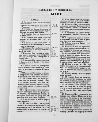 ������ (����, ��� 1)