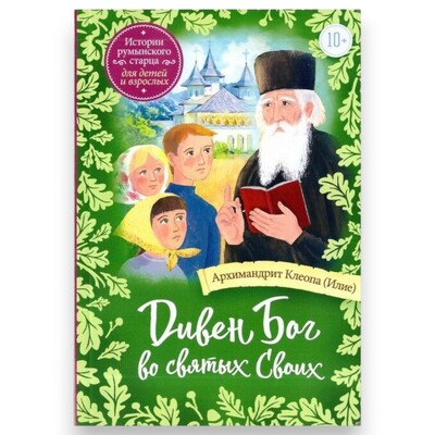 Дивен Бог во святых своих. Истории для детей и взрослых (вид 5) Дивен Бог во святых своих. Истории для детей и взрослых (фото, вид 5)
