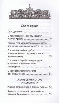 Тесный путь. Избранное. Святитель Игнатий (Брянчанинов) (вид 2) Тесный путь. Избранное. Святитель Игнатий (Брянчанинов) (фото, вид 2)