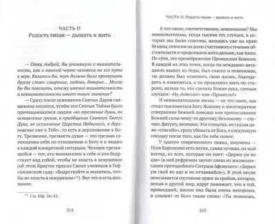 Почему я верю. Простые ответы на сложные вопросы. Протоиерей Андрей Ткачев (вид 3) Почему я верю. Простые ответы на сложные вопросы. Протоиерей Андрей Ткачев (фото, вид 3)