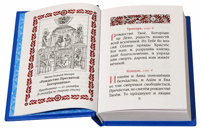 Богородичный цветник (вид 2) Богородичный цветник (фото, вид 2)