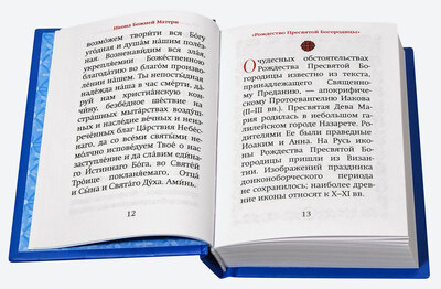 Богородичный цветник (вид 3) Богородичный цветник (фото, вид 3)