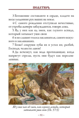 Псалтирь с иллюстрациями. Синодальный перевод (вид 4) Псалтирь с иллюстрациями. Синодальный перевод (фото, вид 4)