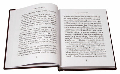 Последование вечерни, утрени и Божественной литургии (вид 4) Последование вечерни, утрени и Божественной литургии (фото, вид 4)