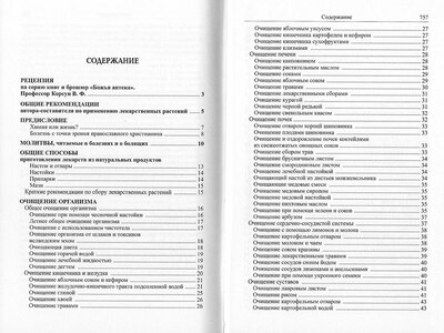 Божья аптека. Лечение дарами природы (вид 4) Божья аптека. Лечение дарами природы (фото, вид 4)