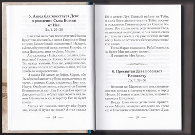 Евангельская история. Святитель Феофан Затворник (вид 1) Евангельская история. Святитель Феофан Затворник (фото, вид 1)