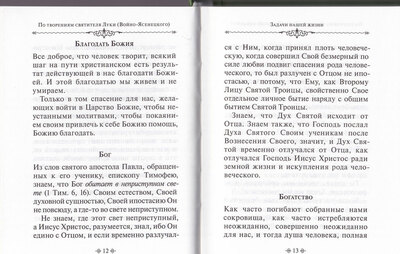 Задачи нашей жизни: по творениям святителя Луки (Войно-Ясенецкого) (вид 1) Задачи нашей жизни: по творениям святителя Луки (Войно-Ясенецкого) (фото, вид 1)