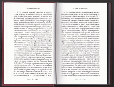История Боголюбцев. Блаженный Феодорит Кирский (вид 1) История Боголюбцев. Блаженный Феодорит Кирский (фото, вид 1)