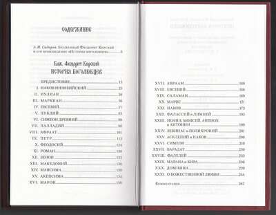 История Боголюбцев. Блаженный Феодорит Кирский (вид 4) История Боголюбцев. Блаженный Феодорит Кирский (фото, вид 4)
