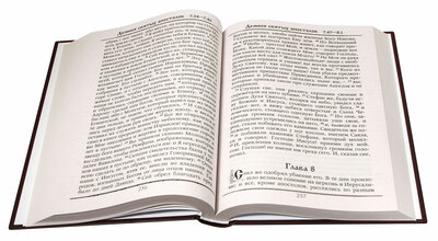 Новый Завет (вид 4) Новый Завет (фото, вид 4)
