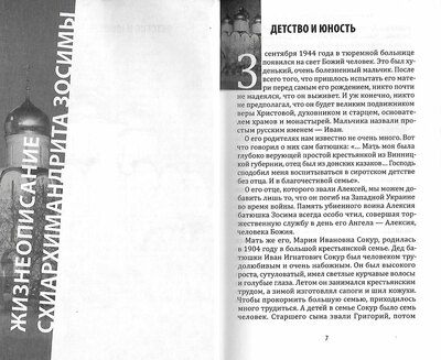 О чем душа скорбит. Схиархимандрит Зосима (Сокур) (вид 2) О чем душа скорбит. Схиархимандрит Зосима (Сокур) (фото, вид 2)