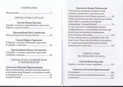 Печаль и борьба с нею (вид 2) Печаль и борьба с нею (фото, вид 2)