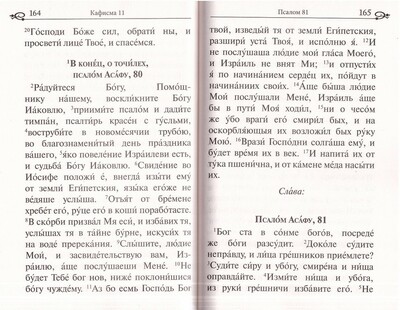 Псалтирь. Крупный шрифт (вид 5) Псалтирь. Крупный шрифт (фото, вид 5)