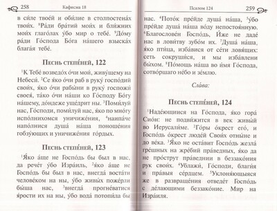 Псалтирь. Крупный шрифт (вид 6) Псалтирь. Крупный шрифт (фото, вид 6)