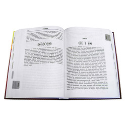 ����� ���� ������. ��������� ����� �������. ��� 2